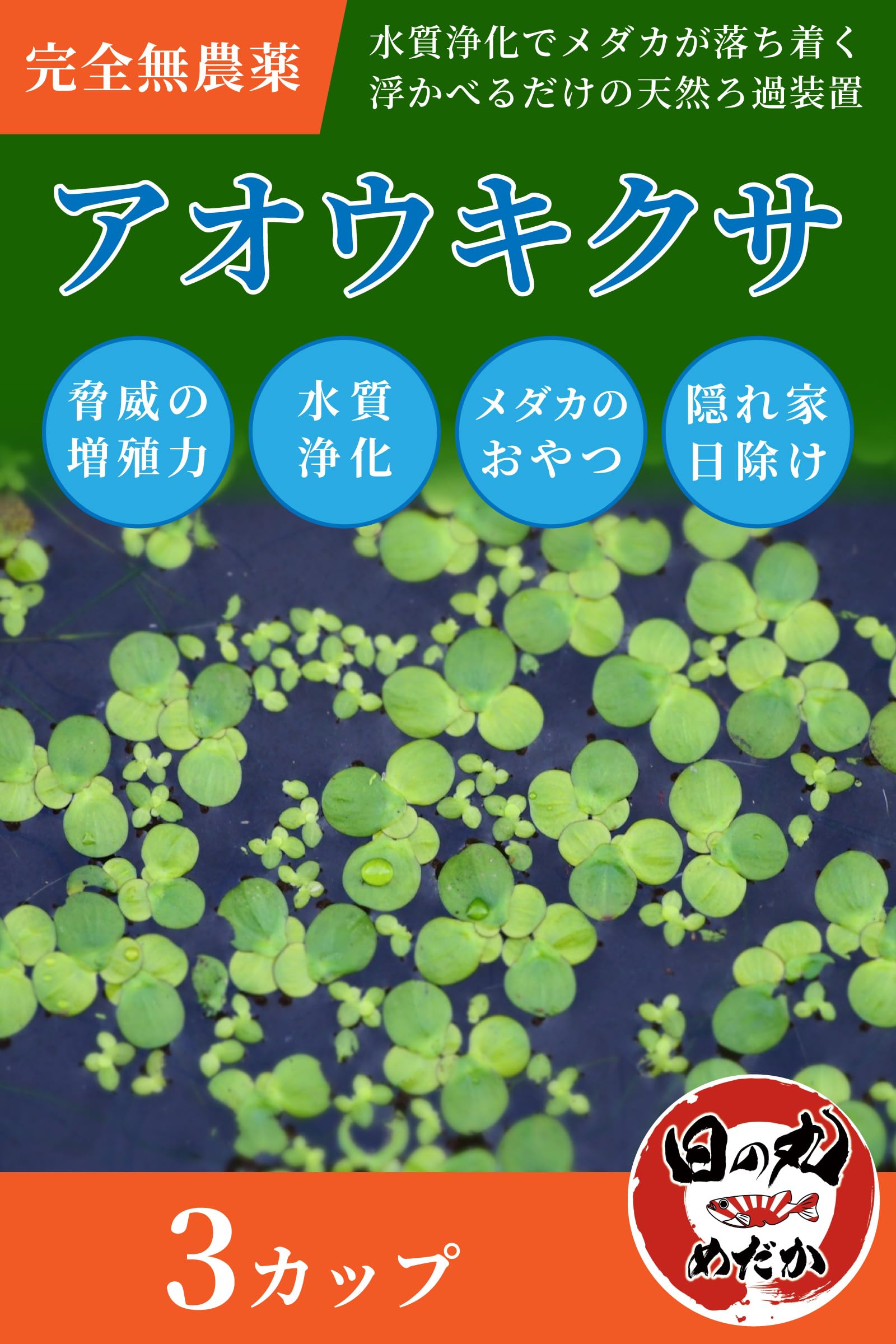 Amazon.co.jp: 水草 メダカ アオウキクサ 【日の丸めだか】無農薬 (3